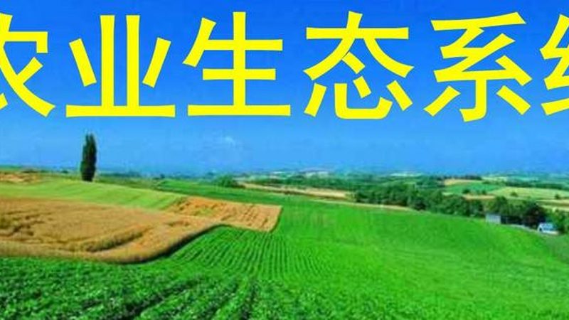 无人机植保：现代农业的精准利器**