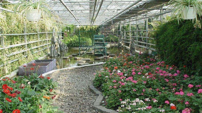 粮食种植深加工项目：揭秘关键设备型号与参数**