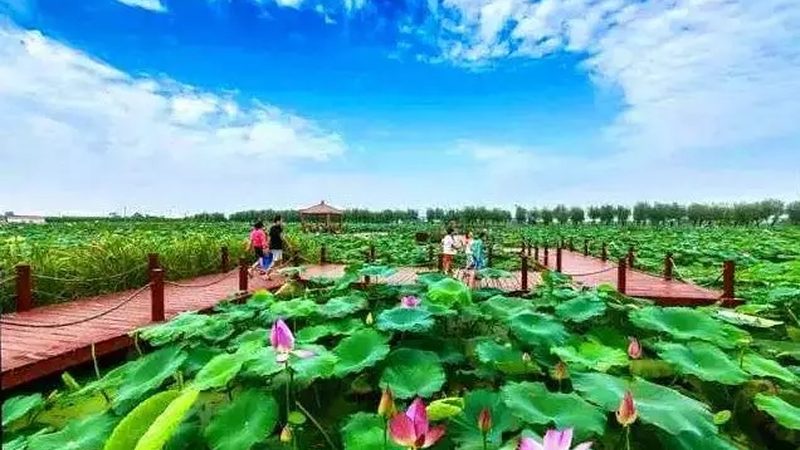 土壤选育：种植粮食的关键一环**