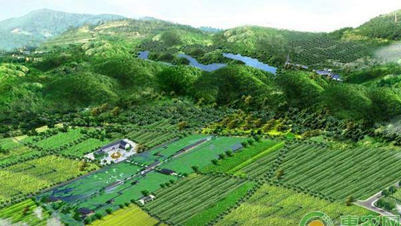 农村种植合作社：构建现代农业的生力军