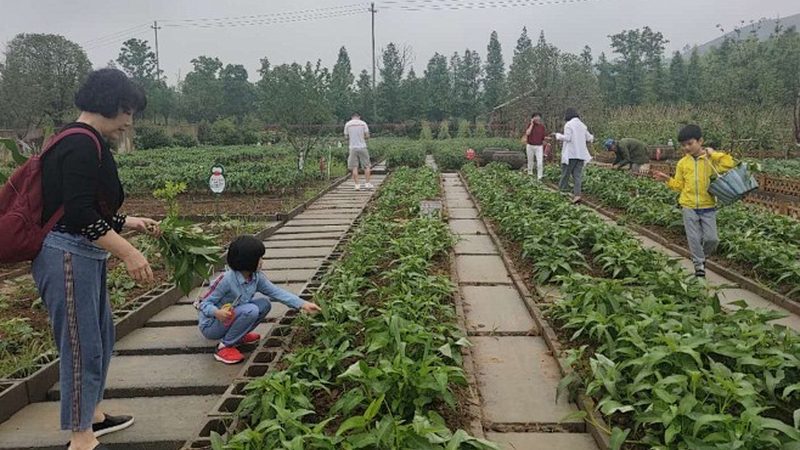 河南农民专业合作社注销难题探析