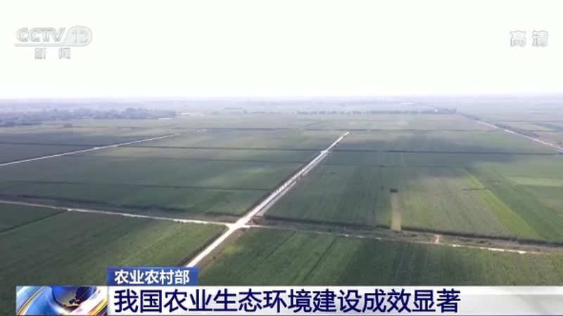 餐饮供应链平台如何选择？揭秘高效供应链的四大关键要素**