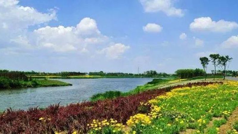 销售渠道是蔬菜种植创业的最后一环。可以采取以下几种方式：