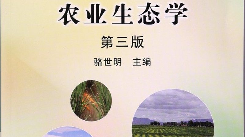 北京农产品批发市场：揭秘排名前十的“幕后英雄”**