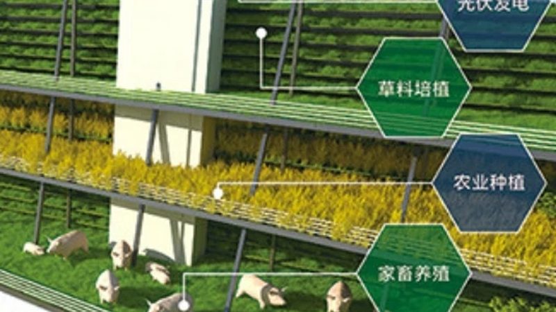 农产品供应链金融成本解析：揭秘成本构成与优化策略