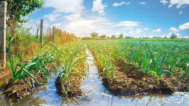 农资物流运输资质要求