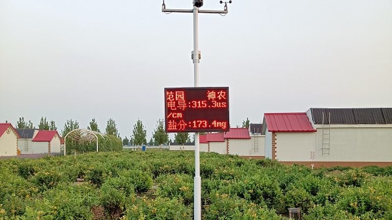 农产品批发供应链管理规范，揭秘高效供应链背后的逻辑