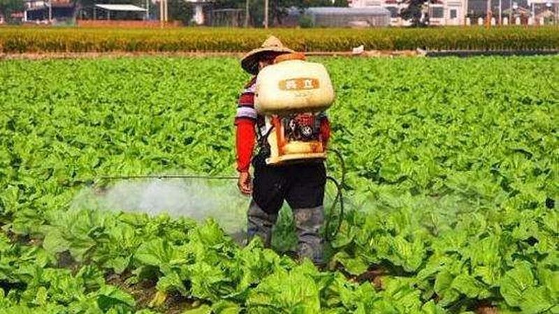 水肥一体化滴灌：现代农业的精准灌溉利器**