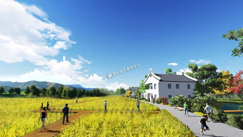 现代农业哪个省发展最好