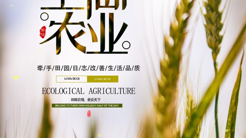 温室大棚遮阳率，如何精准把握？**